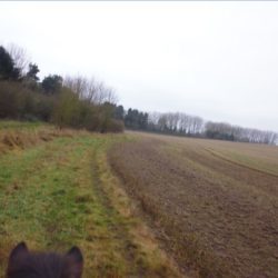 Freedom: Riding my friend’s horse Gydja on Prestwold Estate