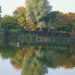 Reflections at Needham Lake