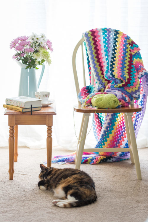 Cat & Crochet by Barbara Jackson