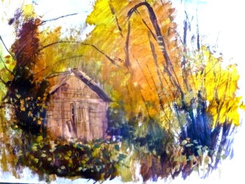 Allotments by Tony O'Dwyer
