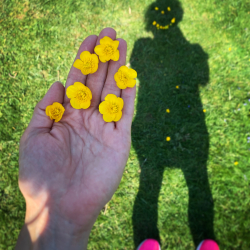 Smile shadow with buttercups.